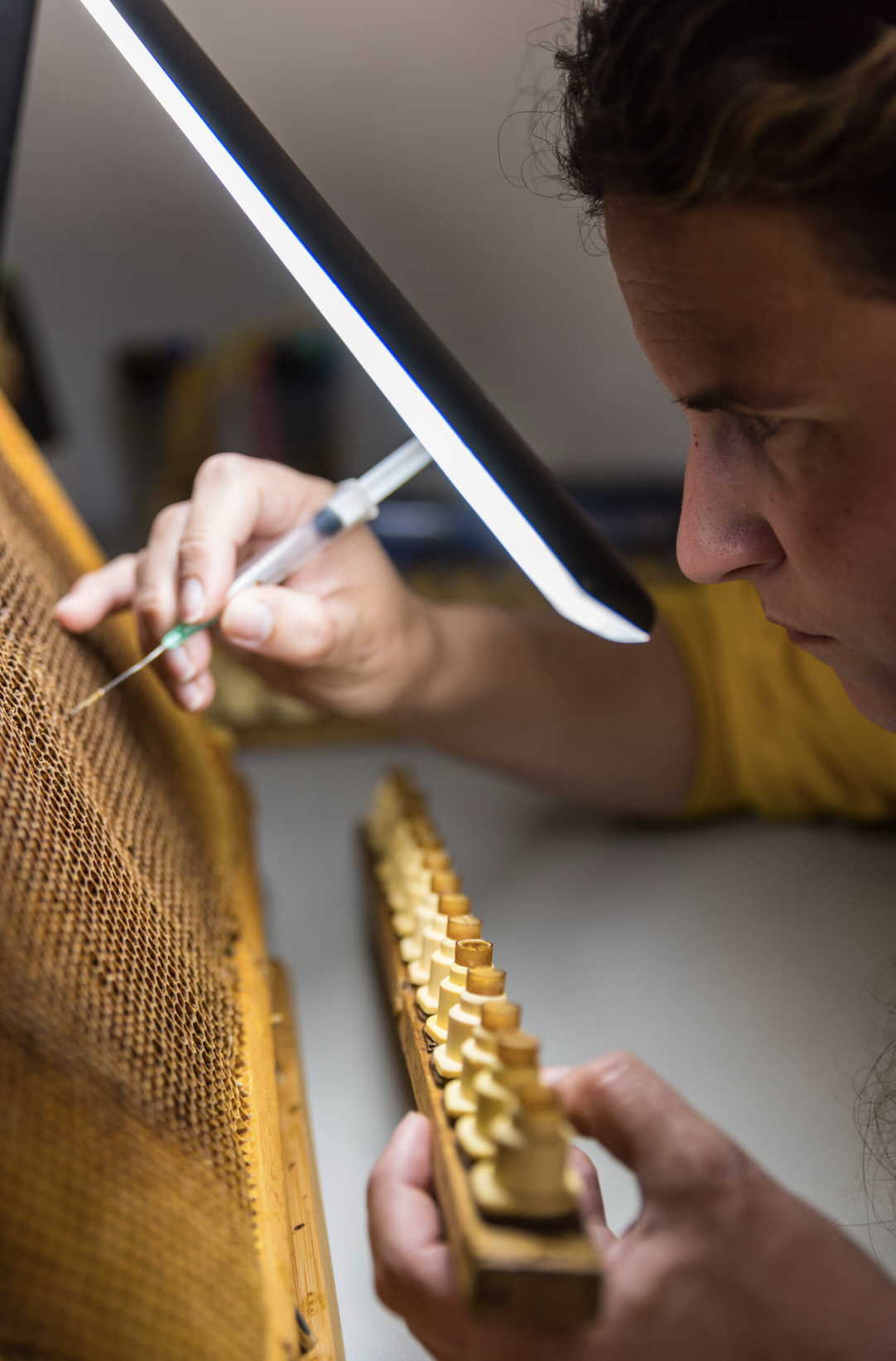 IGP Miel de Asturias