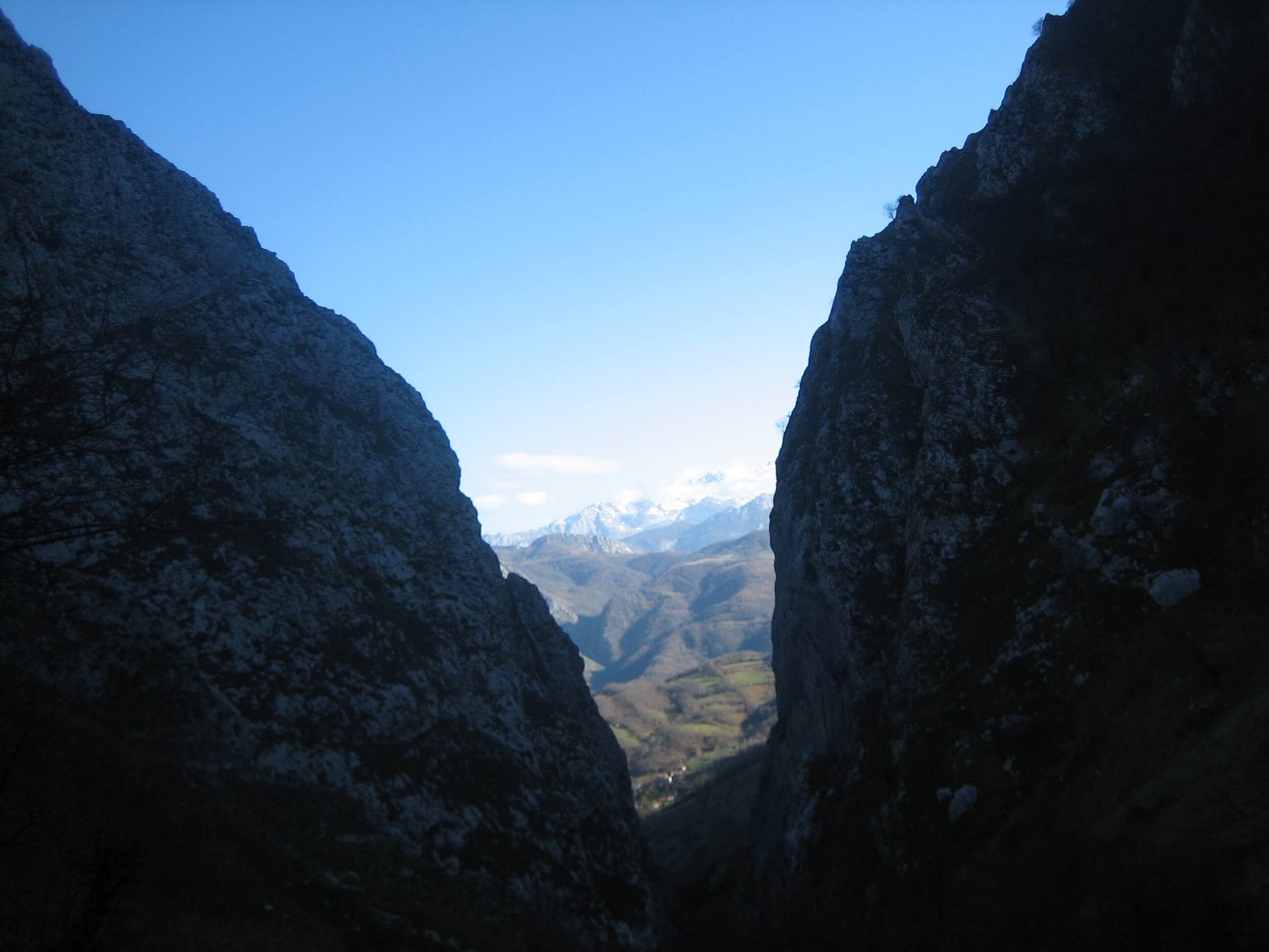 DOP Cabrales