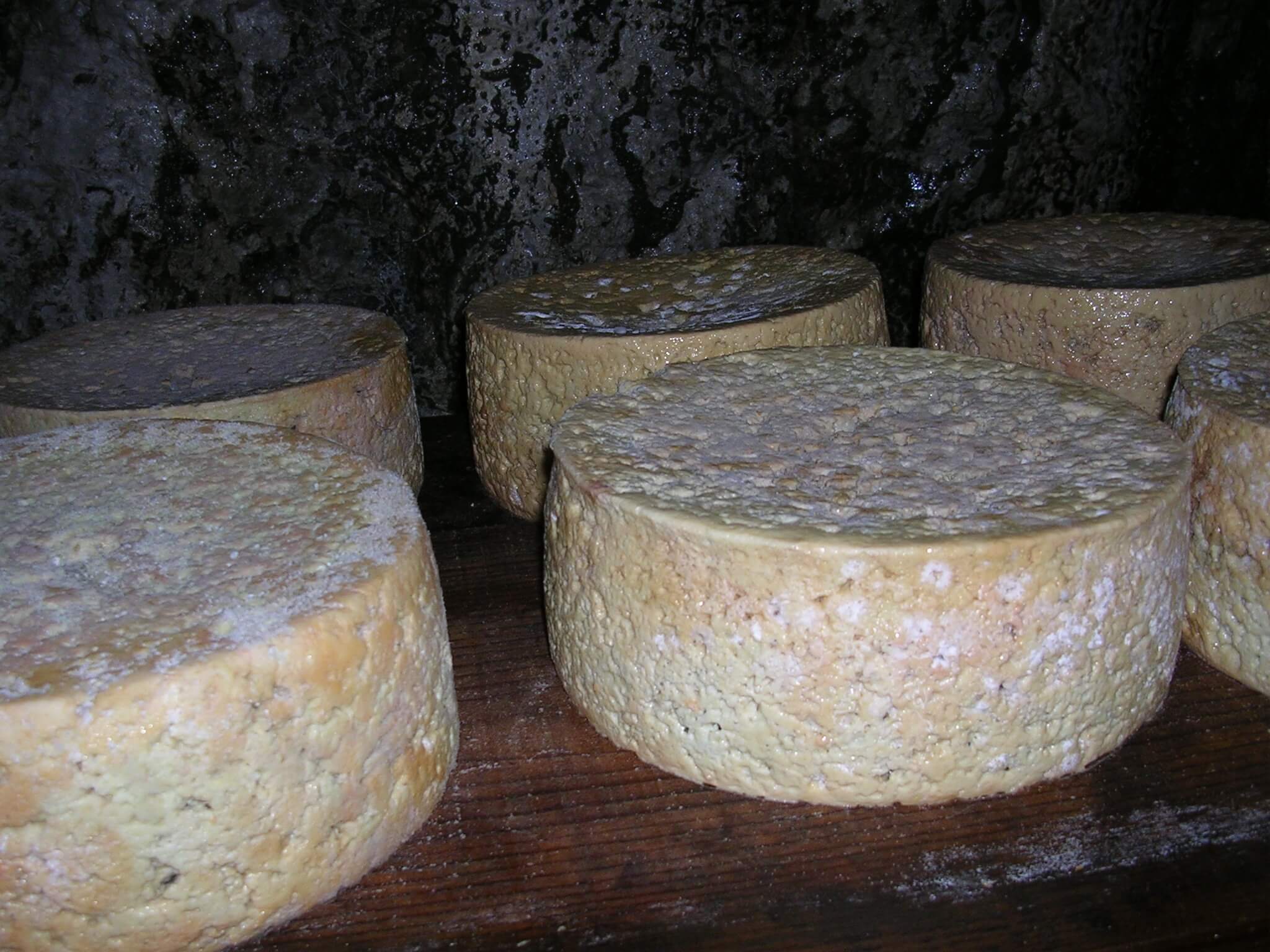 DOP Cabrales