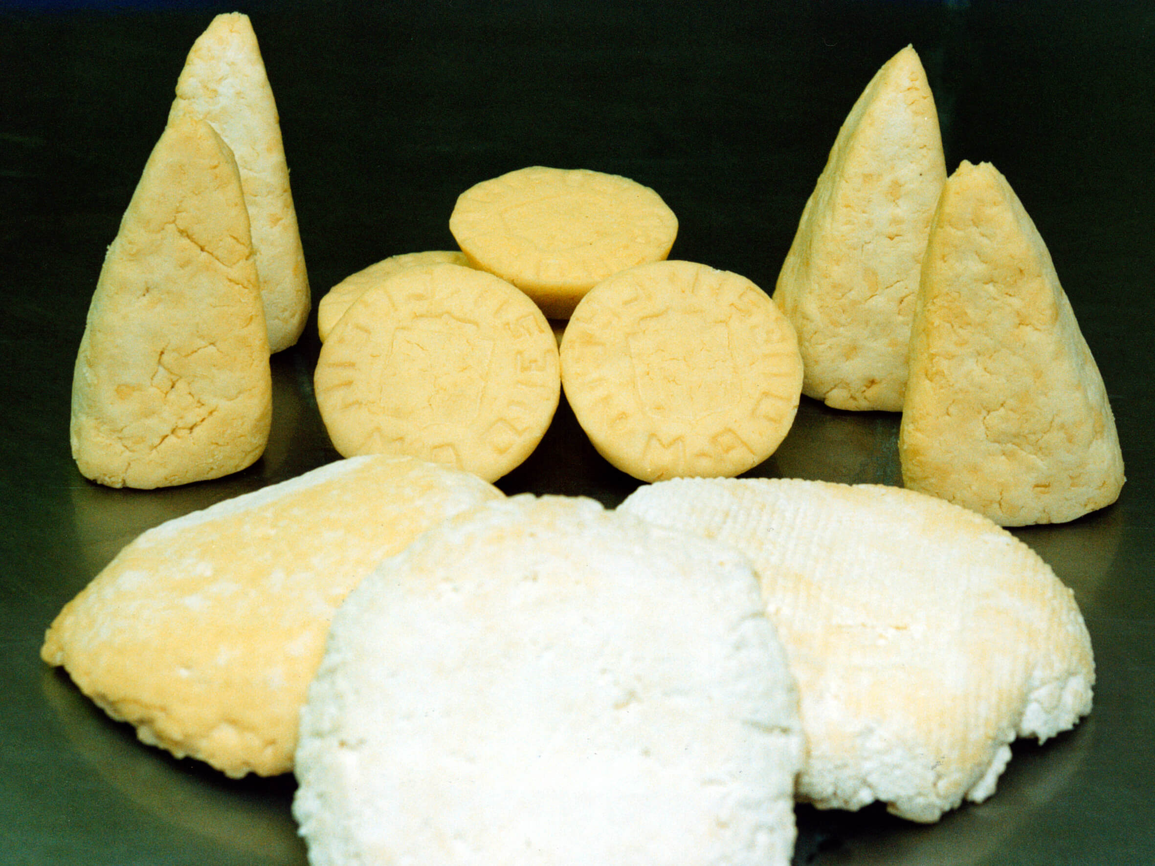 DOP Queso Casín