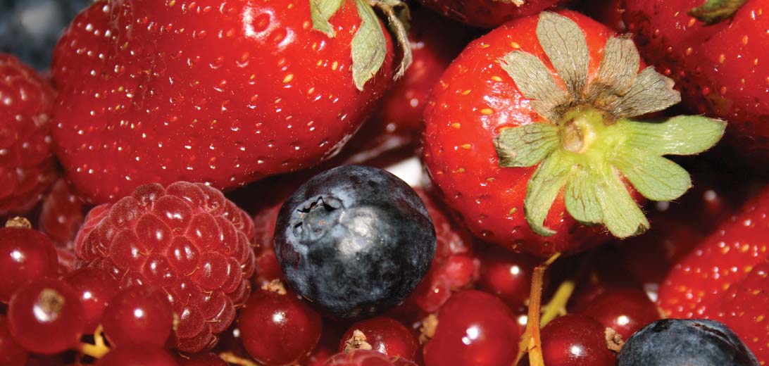 Producción Ecológica