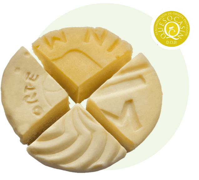 DOP Queso Casín