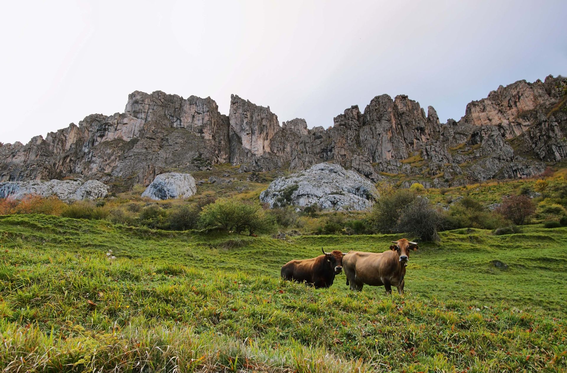 ¿Qué productos son?